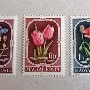 1951 virág II